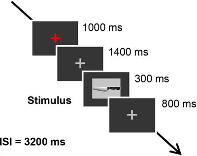 Emotional Arousal at Memory Encoding Enhanced P300 in the Concealed Information Test